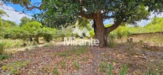 Chácara Para Vender com 2 quartos no bairro Papagaio em Feira De Santana