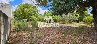 Chácara Para Vender com 2 quartos no bairro Papagaio em Feira De Santana