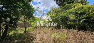 Chácara Para Vender com 2 quartos no bairro Papagaio em Feira De Santana