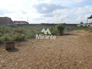 Lote / Terreno de Bairro Para Alugar no bairro Queimadinha em Feira De Santana