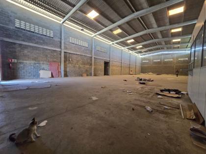 Galpão / Depósito / Armazém Para Alugar no bairro Novo Horizonte em Feira De Santana