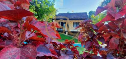 Chacara em Tigipió, Pertence a São João Batista