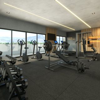 Alpha Club
