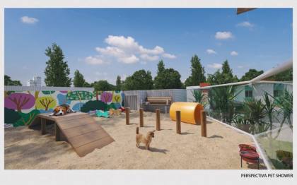 Domus Augusto Lins e Silva