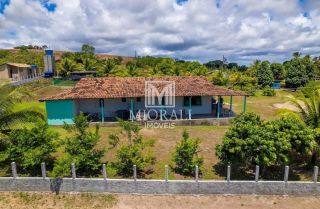 Viva Cercado pela Natureza num Sítio em Passo de Camaragibe a 13km da Cidade