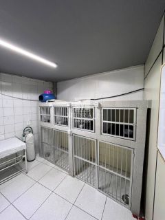 Repasse de Pet Shop e Clínica Veterinária Montada, Ponto Comercial no Benedito Bentes