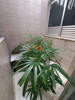 Casa a Venda com 3 Dormitórios Sendo 3 Suítes - Excelente localização no bairro Suíssa!