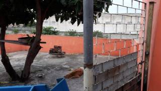 Casa ponto comercial no Santa Maria à venda