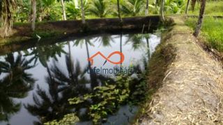 Chácara para locação 30.000m² - São Cristovão