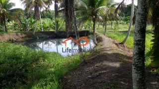 Chácara para locação 30.000m² - São Cristovão