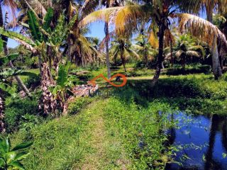 Chácara para locação 30.000m² - São Cristovão