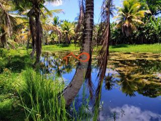 Chácara para locação 30.000m² - São Cristovão