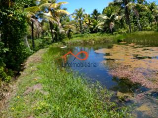 Chácara para locação 30.000m² - São Cristovão