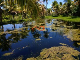 Chácara para locação 30.000m² - São Cristovão