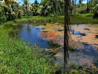 Chácara para locação 30.000m² - São Cristovão