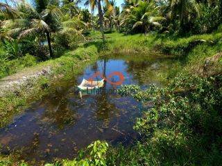 Chácara para locação 30.000m² - São Cristovão