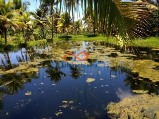 Chácara para locação 30.000m² - São Cristovão