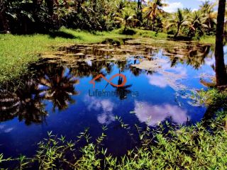 Chácara para locação 30.000m² - São Cristovão