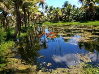 Chácara para locação 30.000m² - São Cristovão