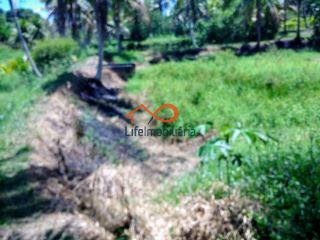 Chácara para locação 30.000m² - São Cristovão