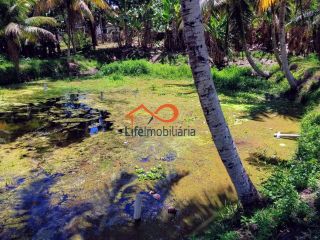 Chácara para locação 30.000m² - São Cristovão