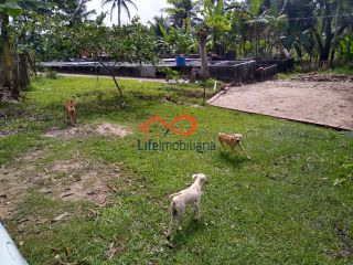 Chácara para locação 30.000m² - São Cristovão