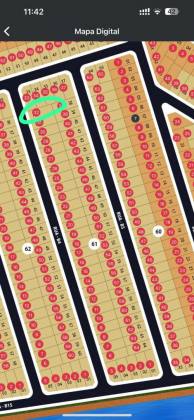 LOTE BURITI NASCENTE