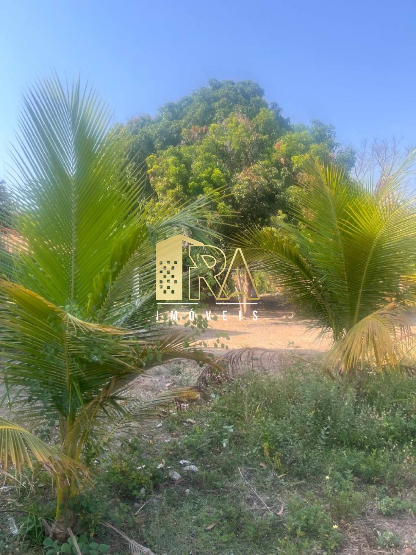 Sítio para vender na Principal do Povoado Soinho.