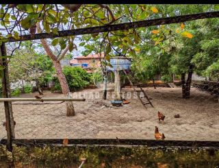 Sítio Para Alugar no bairro Barra de Jacuípe em Camaçari