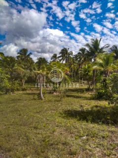 Fazenda à venda em Porto de Sauípe