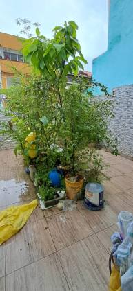 Casa Para Vender com 5 quartos 2 suítes no bairro Santo Antônio em Salvador