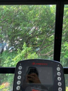 Apartamento Para Vender  2 /4 e  1 suíte  Horto Florestal