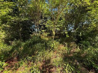 Lote / Terreno de Condomínio  Imbassaí