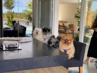 Casa de Condomínio 5/4 e 4 suítes Guarajuba