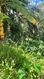 Terreno Para Vender Saboeiro