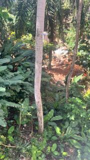 Terreno Para Vender Saboeiro