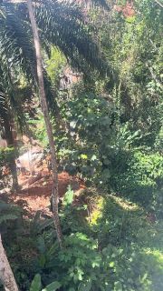 Terreno Para Vender Saboeiro