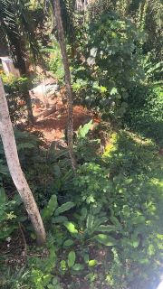 Terreno Para Vender  Saboeiro