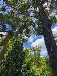 Casa de Condomínio 4/4 e 2 suítes Mata de São João