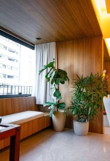 Apartamento 2 /4 e 1 suíte Caminho das árvores