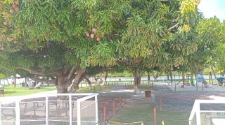 Casa de Condomínio 2/4 e1 suíte Barra do Jacuípe