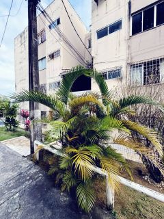 APARTAMENTO 2 QUARTOS EM CANABRAVA