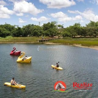 Terreno  Para Vender Simões Filho