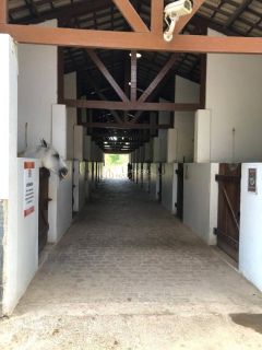 Terreno  Para Vender Simões Filho