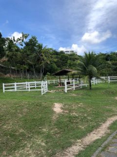 Terreno  Para Vender Simões Filho