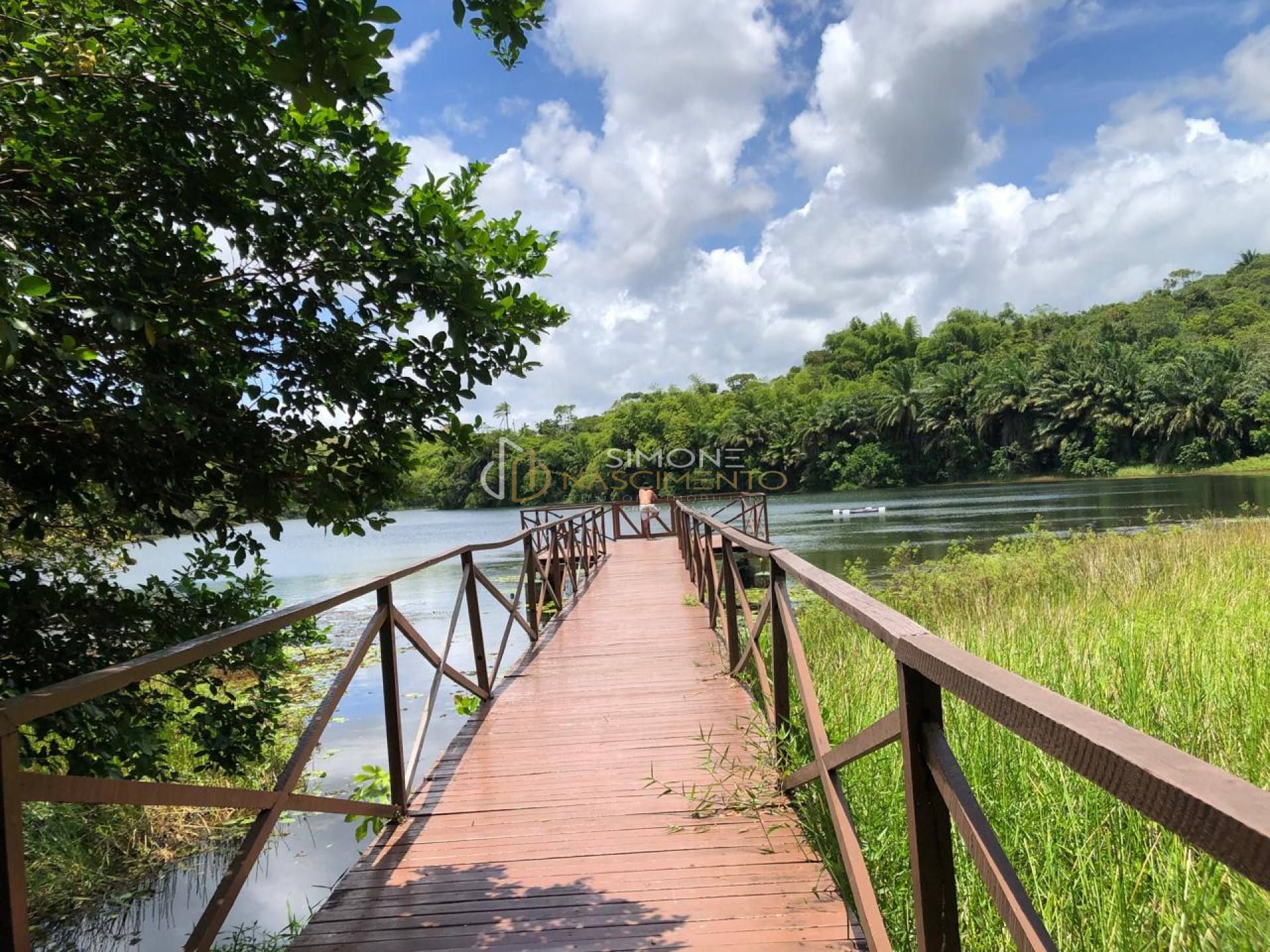 Terreno  Para Vender  Simões Filho