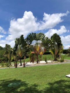 Terreno  Para Vender  Simões Filho