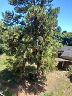 APARTAMENTO 2 QUARTOS NO TROBOGY