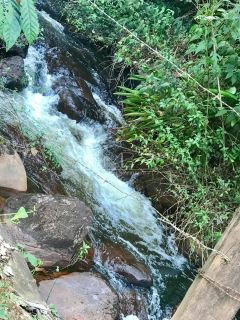 Fazenda Região de Santos Estevão Jaguaquara