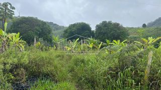 Fazenda Região de Santos Estevão Jaguaquara